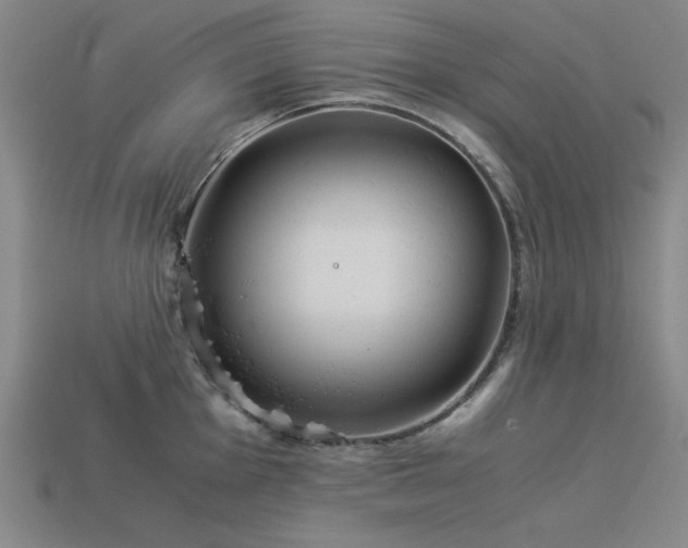 X0000113931001200909251215