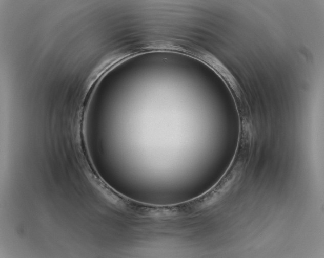 X0000113931002200909251215