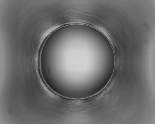 X0000113931003200909251215