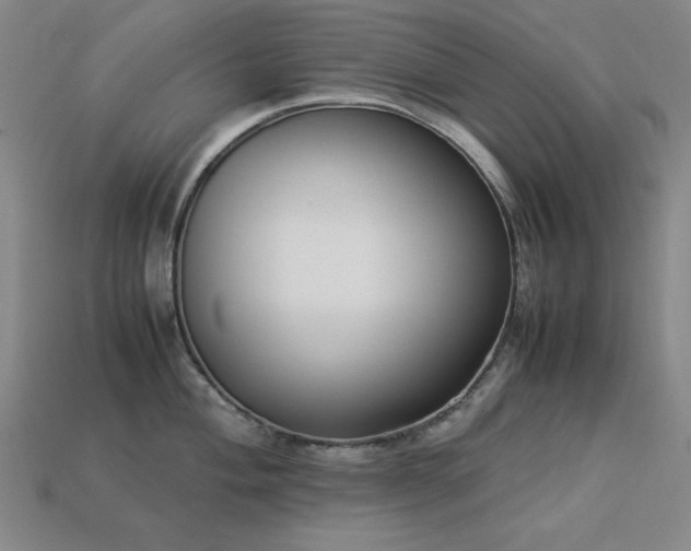 X0000113931004200909251215