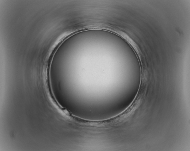 X0000113931005200909251215