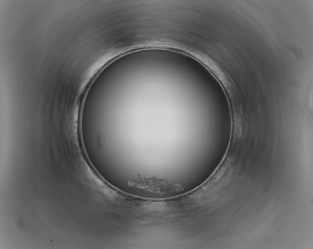 X0000113931006200909251215