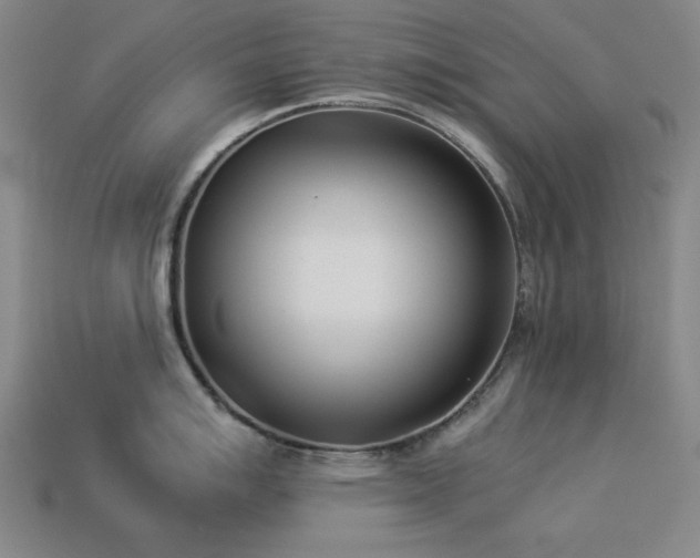 X0000113931007200909251215
