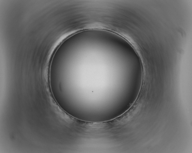 X0000113931008200909251215