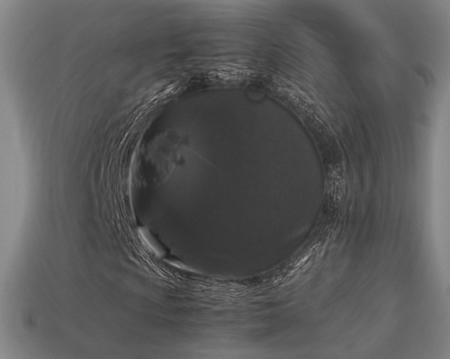 X0000113931009200909251215
