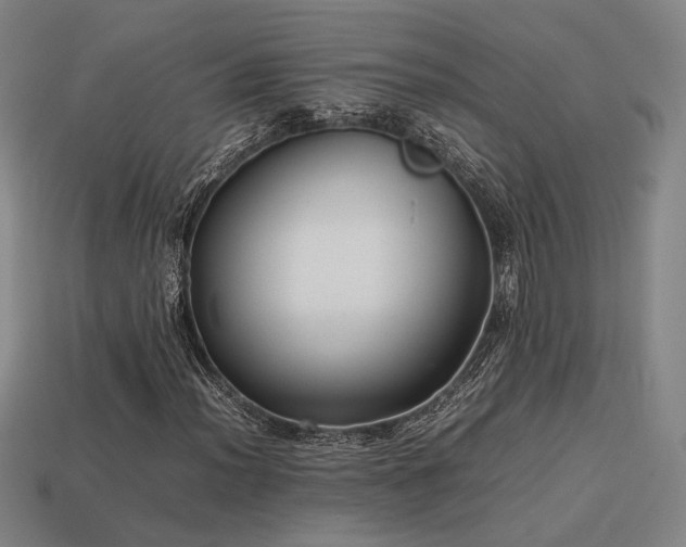 X0000113931012200909251215