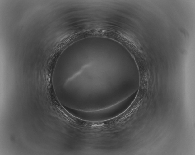 X0000113931013200909251215