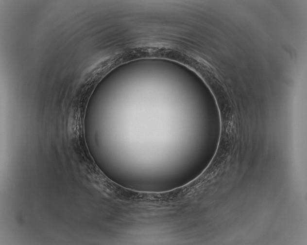 X0000113931014200909251215