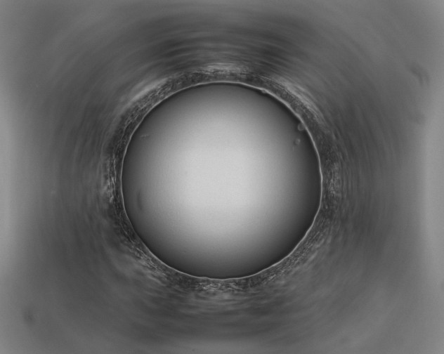 X0000113931015200909251215