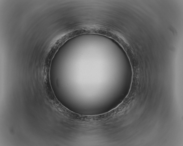 X0000113931016200909251215