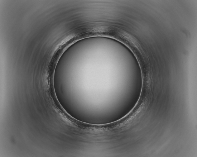 X0000113931018200909251215