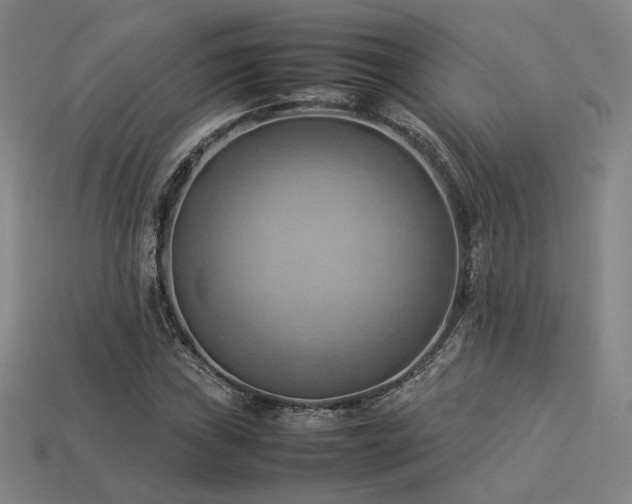 X0000113931019200909251215