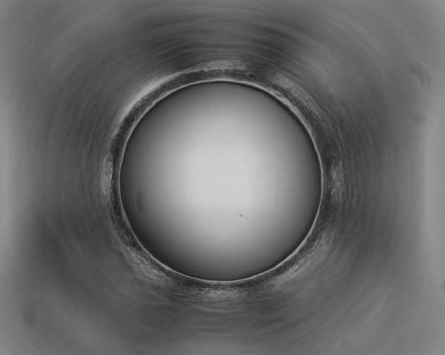 X0000113931021200909251215