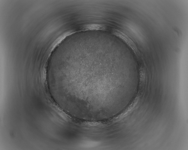 X0000113931023200909251215