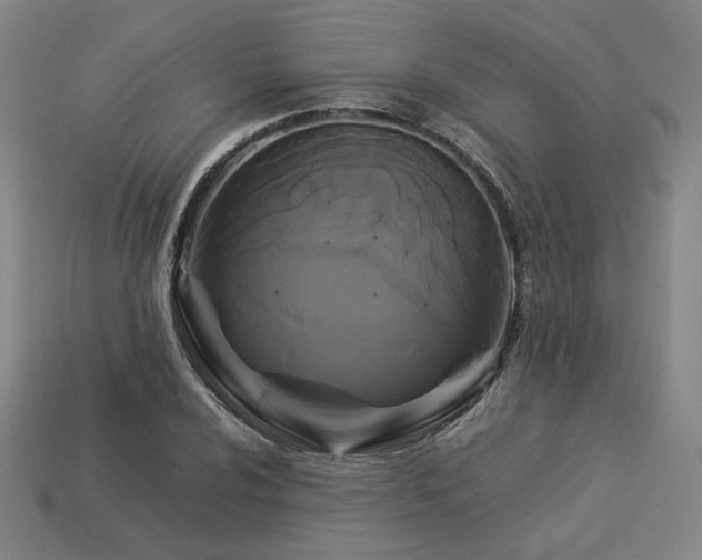 X0000113931024200909251215