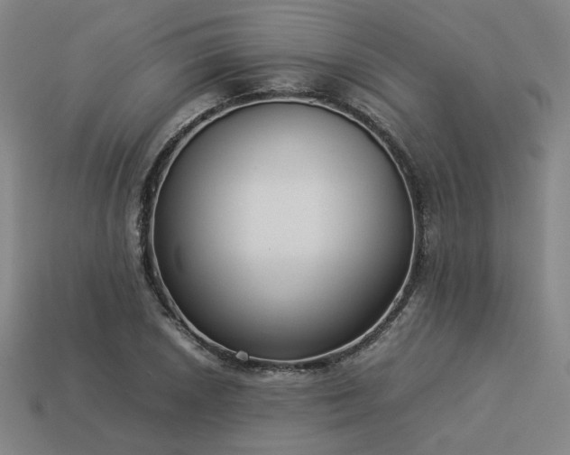 X0000113931026200909251215