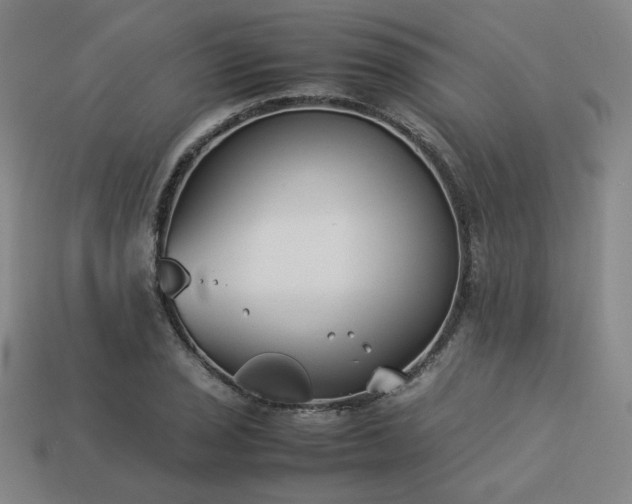 X0000113931029200909251215
