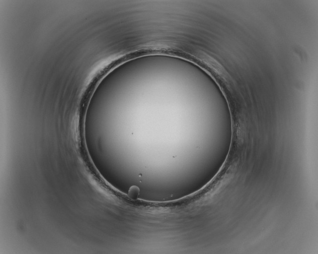 X0000113931030200909251215