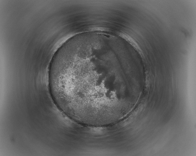 X0000113931031200909251215