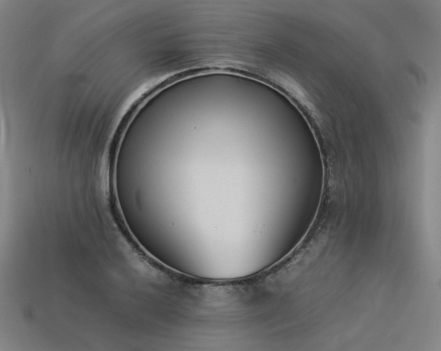 X0000113931032200909251215