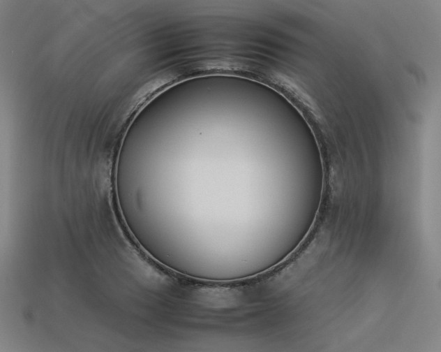 X0000113931033200909251215