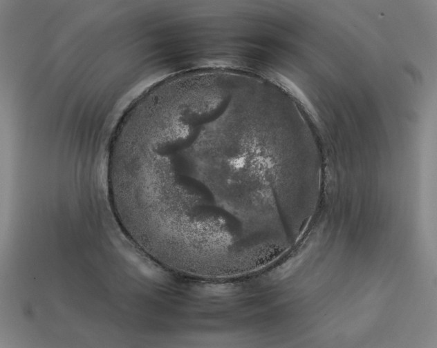 X0000113931035200909251215