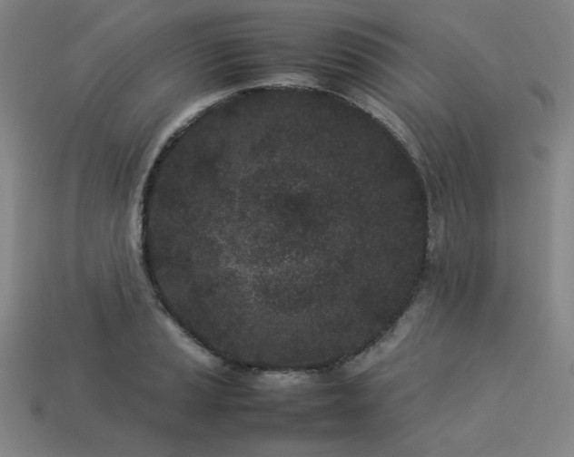 X0000113931037200909251215