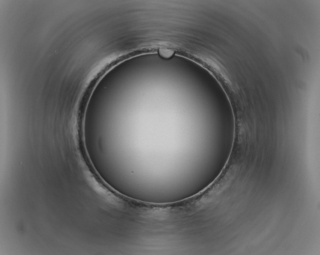 X0000113931038200909251215