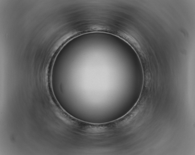 X0000113931039200909251215