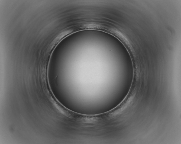 X0000113931041200909251215