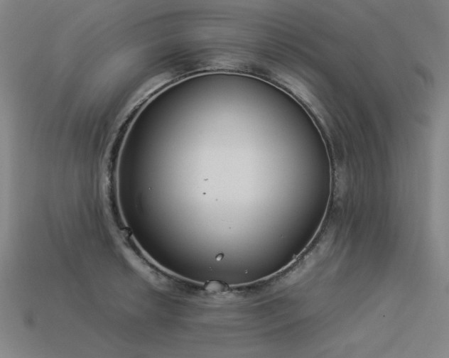 X0000113931042200909251215