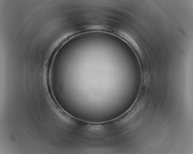 X0000113931043200909251215
