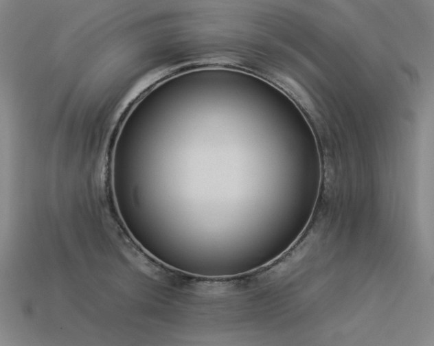 X0000113931044200909251215