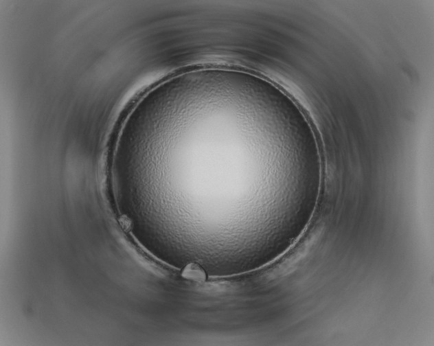 X0000113931045200909251215