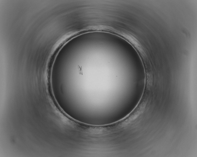 X0000113931046200909251215