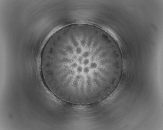 X0000113931048200909251215