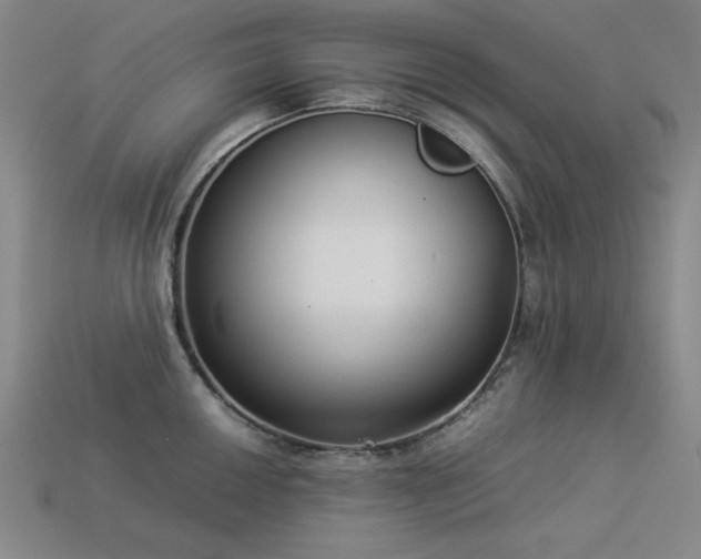 X0000113931050200909251215