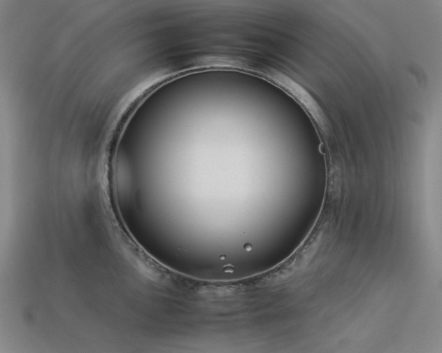 X0000113931051200909251215
