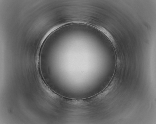 X0000113931052200909251215