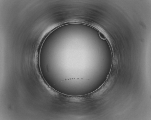 X0000113931053200909251215