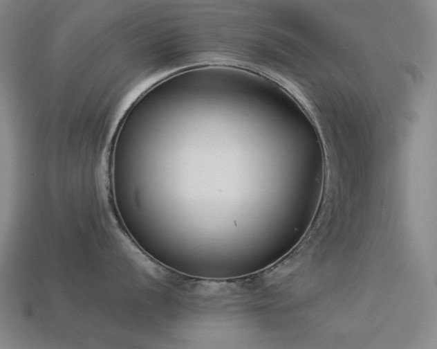 X0000113931056200909251215