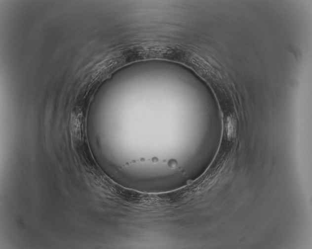 X0000113931059200909251215