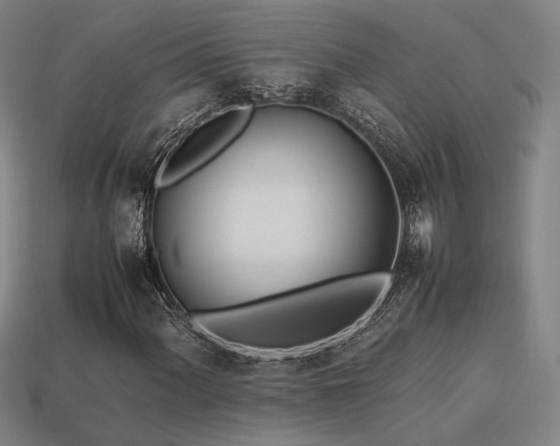 X0000113931060200909251215