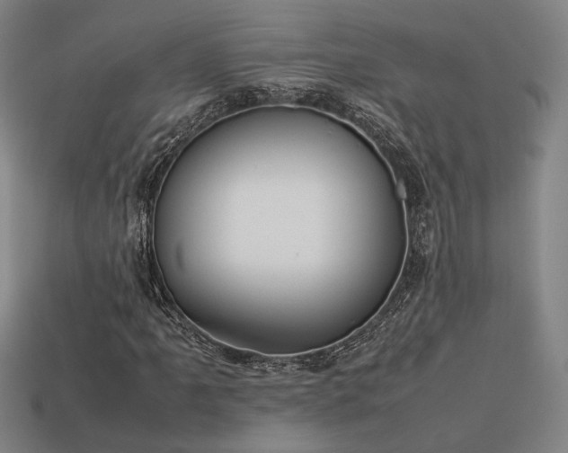 X0000113931061200909251215