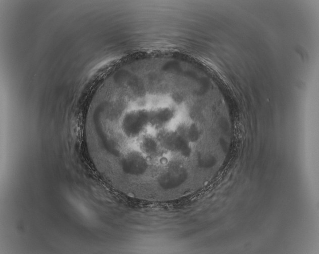 X0000113931063200909251215