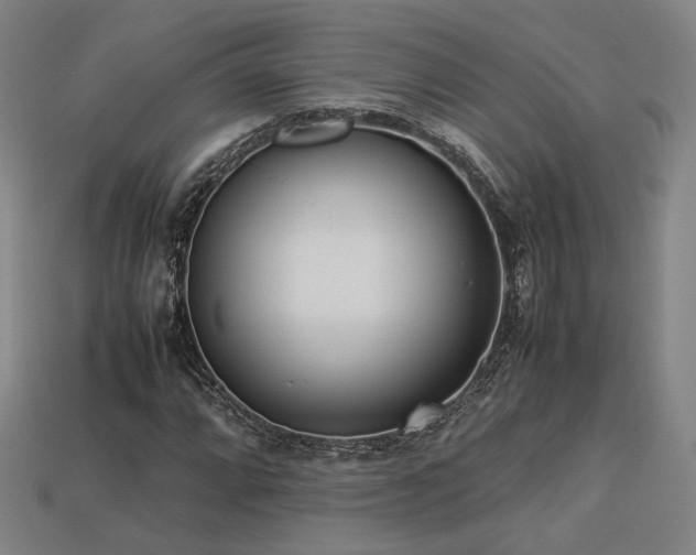 X0000113931064200909251215