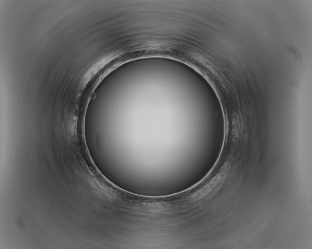 X0000113931066200909251215