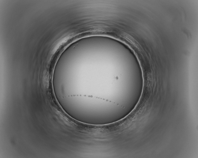 X0000113931067200909251215