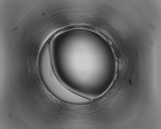 X0000113931068200909251215