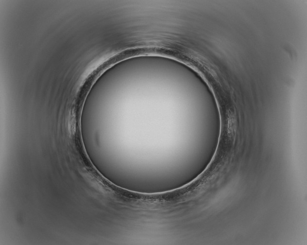 X0000113931069200909251215